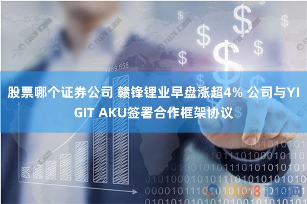 股票哪个证券公司 赣锋锂业早盘涨超4% 公司与YIGIT AKU签署合作框架协议