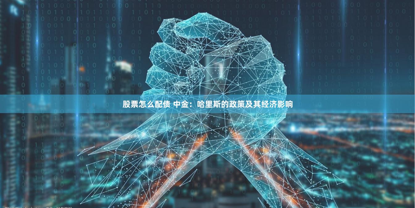 股票怎么配债 中金：哈里斯的政策及其经济影响