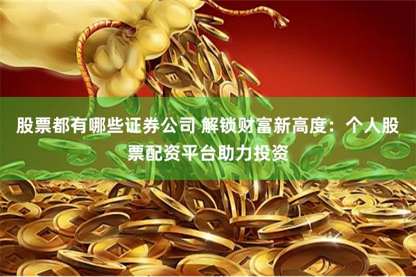 股票都有哪些证券公司 解锁财富新高度：个人股票配资平台助力投资