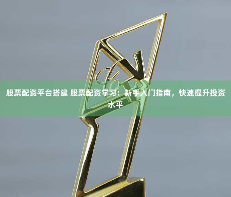 股票配资平台搭建 股票配资学习：新手入门指南，快速提升投资水平